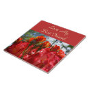 Recherche de roses de noël carreaux Pour elle