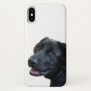 Recherche de labrador retriever iphone coques Amoureux des chiens