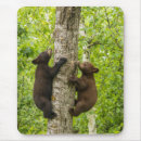 Recherche de cathy tapis souris Arbre