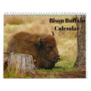 Recherche de indiens calendriers Buffle
