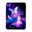 Recherche de papillon magnets Magique