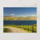 Recherche de ava cartes postales Richard duval