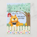 Recherche de oiseau chat cartes postales Oiseaux