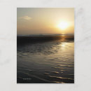Recherche de marée basse posters Surf