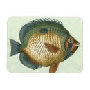 Recherche de poissons magnets Coloré