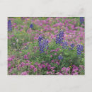 Recherche de country cartes postales Botanique