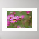 Recherche de rain posters Flower