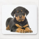 Recherche de rottweiler tapis souris Amoureux des chiens