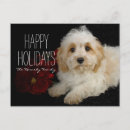 Recherche de de chiot noël cartes Animaux domestiques