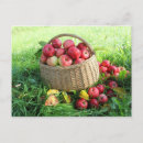 Recherche de lot cartes postales Pour eux