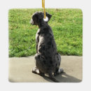 Recherche de great dane ornements Chiot