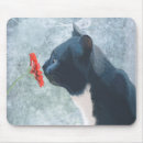 Recherche de chats tapis souris Chat noir