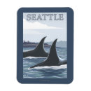 Recherche de orque magnets Washington