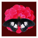 Recherche de peinture papillon fleurs posters Pour elle