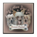 Recherche de arêtes carreaux Chien