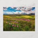 Recherche de paysage fleuri cartes postales Nature