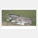 Recherche de sabot autocollants Animaux domestiques