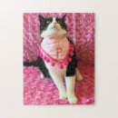 Recherche de funny cat puzzles Animal