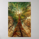 Recherche de cosmique posters Arbre