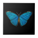 Recherche de butterfly carreaux Papillon