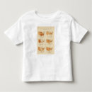 Recherche de proportions tshirts Couleur