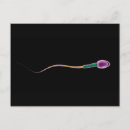 Recherche de spermies cartes postales Biologie