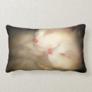 Recherche de somnolent coussins Mignon