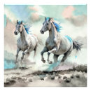 Recherche de crinière posters Aquarelle
