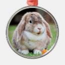 Recherche de la hollande ornements Animal