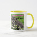 Recherche de chatons mignons tasses Charmant