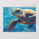 Recherche de tortue de mer cartes postales Eau bleue