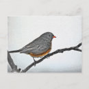 Recherche de épervier cartes postales Froid