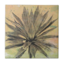 Recherche de plante carreaux Cactus