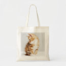 Recherche de chat de gingembre sacs Animaux de bébé