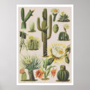 Recherche de botanique posters Cactus