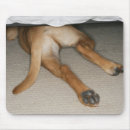 Recherche de verticaux tapis souris Humour