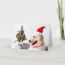 Recherche de labrador jaune vœux cartes Mignonne