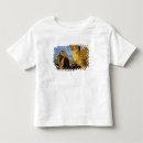 Recherche de chimère tshirts Pierre