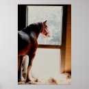 Recherche de stable posters Étalon