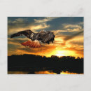 Recherche de buse cartes postales Raptor