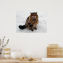 Recherche de chat tigre posters Neige