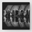 Recherche de zèbre horloges Afrique