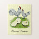 Recherche de poussins puzzles Volaille