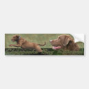 Recherche de chasse canard voiture autocollants Sport