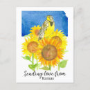 Recherche de bonjour tournesol cartes postales Toute personne