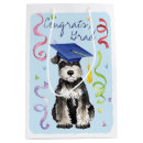 Recherche de mini schnauzers Chien