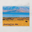 Recherche de buffle cartes postales Paysage