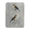 Recherche de deux oiseaux magnets Animaux