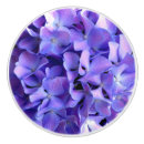 Recherche de fleur pourpre boutons et poignées de porte Élégant