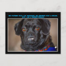 Recherche de drôle animal cartes postales Rire